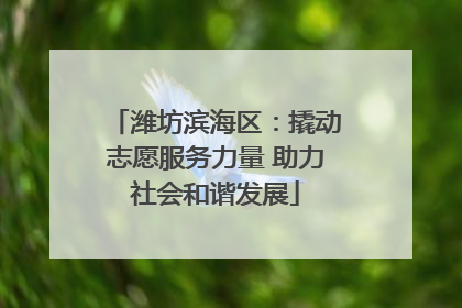 潍坊滨海区：撬动志愿服务力量 助力社会和谐发展