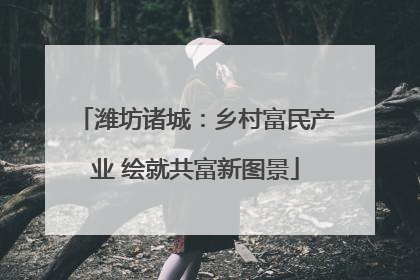 潍坊诸城：乡村富民产业 绘就共富新图景