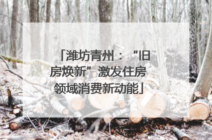 潍坊青州：“旧房焕新”激发住房领域消费新动能