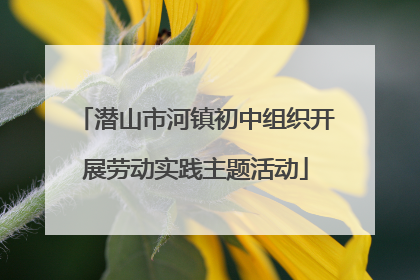 潜山市河镇初中组织开展劳动实践主题活动