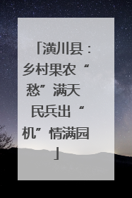 潢川县：乡村果农“愁”满天  民兵出“机”情满园