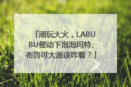 潮玩大火，LABUBU催动下泡泡玛特、布鲁可大涨该咋看？