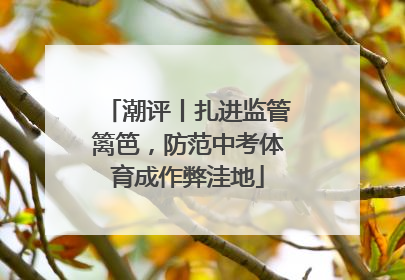 潮评丨扎进监管篱笆，防范中考体育成作弊洼地