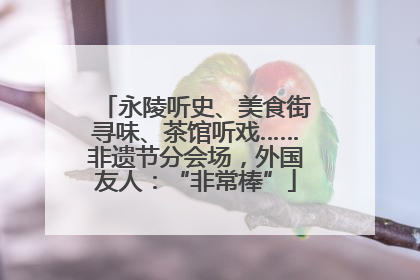 永陵听史、美食街寻味、茶馆听戏……非遗节分会场，外国友人：“非常棒”