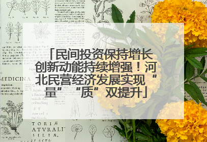 民间投资保持增长 创新动能持续增强！河北民营经济发展实现“量”“质”双提升