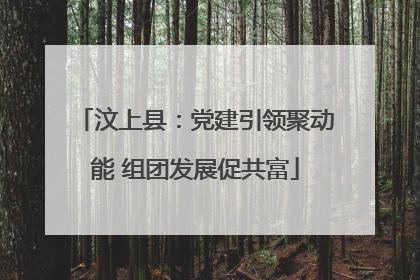 汶上县：党建引领聚动能 组团发展促共富