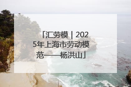 汇劳模｜2025年上海市劳动模范——杨洪山