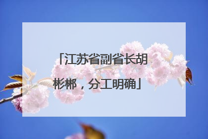 江苏省副省长胡彬郴，分工明确
