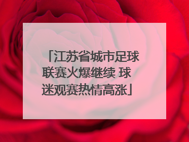 江苏省城市足球联赛火爆继续 球迷观赛热情高涨
