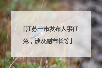 江苏一市发布人事任免，涉及副市长等
