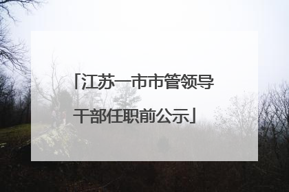 江苏一市市管领导干部任职前公示