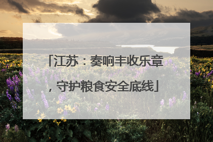 江苏：奏响丰收乐章，守护粮食安全底线