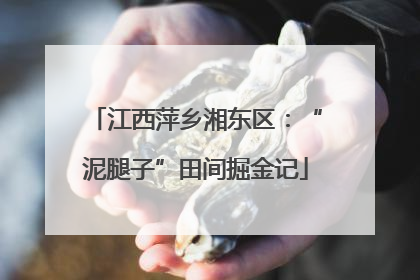江西萍乡湘东区：“泥腿子”田间掘金记