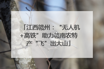 江西赣州：“无人机+高铁”助力赣南农特产“飞”出大山