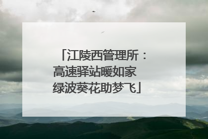 江陵西管理所：高速驿站暖如家 绿波葵花助梦飞