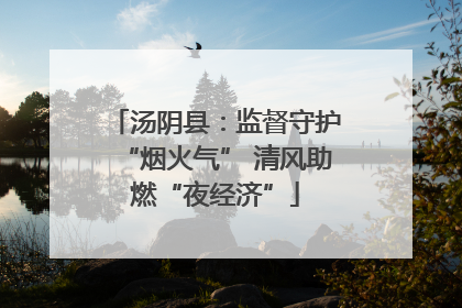 汤阴县：监督守护“烟火气” 清风助燃“夜经济”