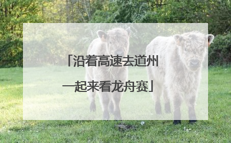 沿着高速去道州 一起来看龙舟赛