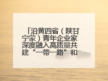 沿黄四省（陕甘宁蒙）青年企业家深度融入高质量共建“一带一路”和西部陆海新通道建设战略合作交流会在甘肃兰州召开