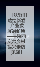 沃野田畴绘新卷 产业发展谱新篇——陕西岚皋乡村振兴走访见闻