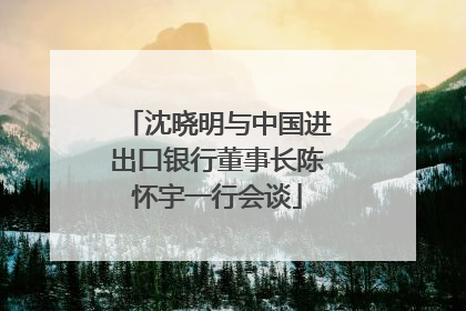 沈晓明与中国进出口银行董事长陈怀宇一行会谈