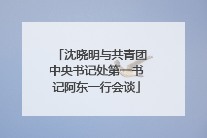 沈晓明与共青团中央书记处第一书记阿东一行会谈