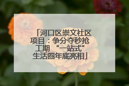 河口区崇文社区项目：争分夺秒抢工期 “一站式”生活圈年底亮相