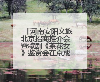 河南安阳文旅北京招商推介会暨歌剧《茶花女》鉴赏会在京成功举办