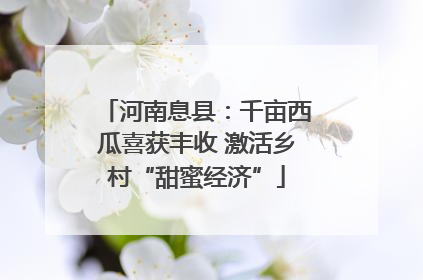 河南息县：千亩西瓜喜获丰收 激活乡村“甜蜜经济”