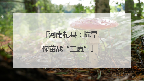 河南杞县：抗旱保苗战“三夏”