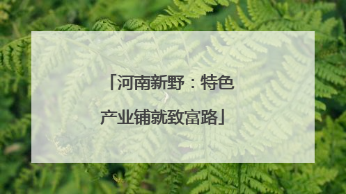 河南新野：特色产业铺就致富路