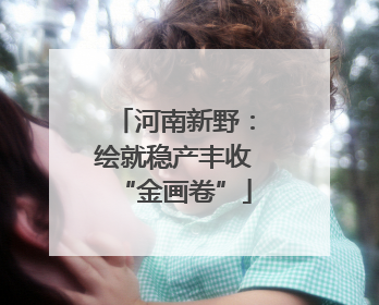 河南新野：绘就稳产丰收“金画卷”