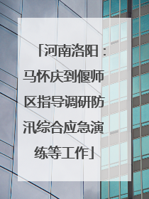 河南洛阳：马怀庆到偃师区指导调研防汛综合应急演练等工作