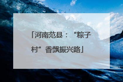 河南范县：“粽子村”香飘振兴路
