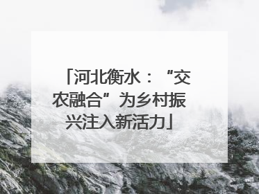 河北衡水：“交农融合”为乡村振兴注入新活力