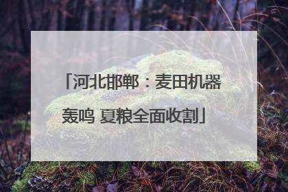 河北邯郸：麦田机器轰鸣 夏粮全面收割