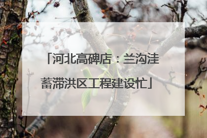 河北高碑店：兰沟洼蓄滞洪区工程建设忙