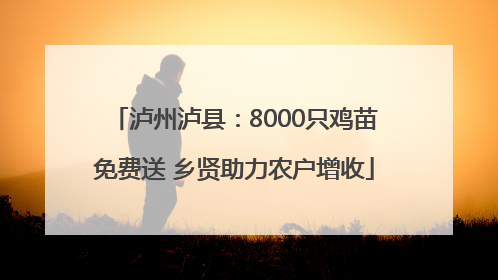 泸州泸县：8000只鸡苗免费送 乡贤助力农户增收