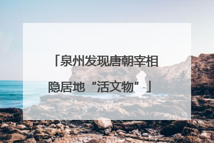 泉州发现唐朝宰相隐居地“活文物”