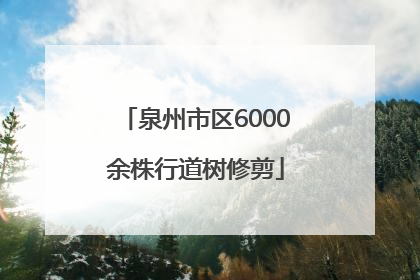 泉州市区6000余株行道树修剪
