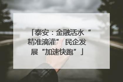 泰安：金融活水“精准滴灌” 民企发展“加速快跑”