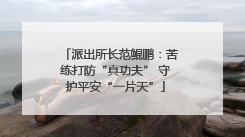 派出所长范鲲鹏：苦练打防“真功夫” 守护平安“一片天”