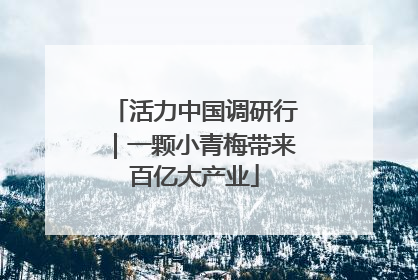 活力中国调研行｜一颗小青梅带来百亿大产业