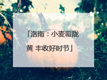 洛南：小麦覆陇黄 丰收好时节
