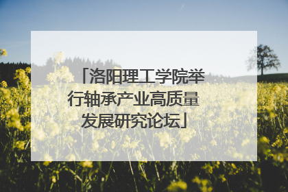 洛阳理工学院举行轴承产业高质量发展研究论坛