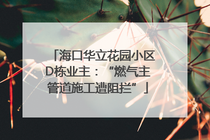 海口华立花园小区D栋业主：“燃气主管道施工遭阻拦”
