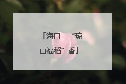 海口：“琼山福稻”香