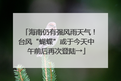 海南仍有强风雨天气！台风“蝴蝶”或于今天中午前后再次登陆→