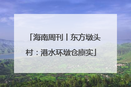 海南周刊丨东方墩头村：港水环墩仓廪实