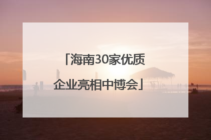 海南30家优质企业亮相中博会