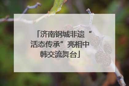 济南钢城非遗“活态传承”亮相中韩交流舞台
